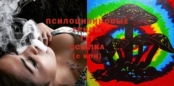 a pvp Слюдянка