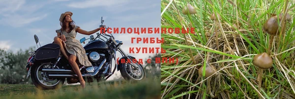 твердый Балахна